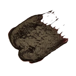 Evo Fabuloso Cool Brown Colour Intensifying Conditioner New