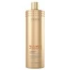 Blonde Reconstructor Unbroken Blonde Highlights Protector