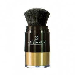 Ambiance Dry Shampoo New