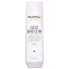 Goldwell Dualsenses Just Smooth Shampoo New