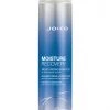 Joico Moisture Recovery Shampoo
