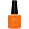 Clearance CND Shellac Popsicle Picnic - Discontinued