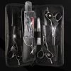 Zen Master Scissors Zen Master Apprentice/Student 3 Scissor Kit Polished Silver