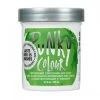 Punky Colour Semi-Permanent Conditioning Hair Colour - Spring Green