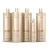 Blonde Reconstructor Professional Kit