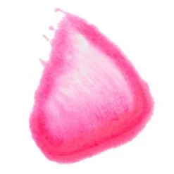 Silk Oil Of Morocco Argan Vegan Lipstain Candy New