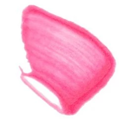 Silk Oil Of Morocco Argan Vegan Lipstain Flirt New