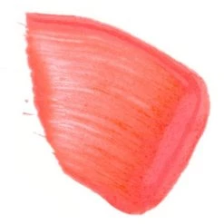 Silk Oil Of Morocco Argan Vegan Lipstain Fruit Punch