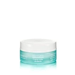 Vagheggi Rehydra Moisturising Night Cream
